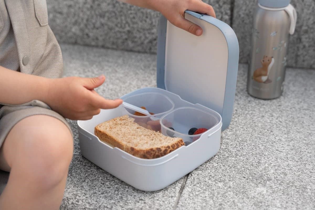 Caja Bento Campus Grande Forest Friends - Imagen 6