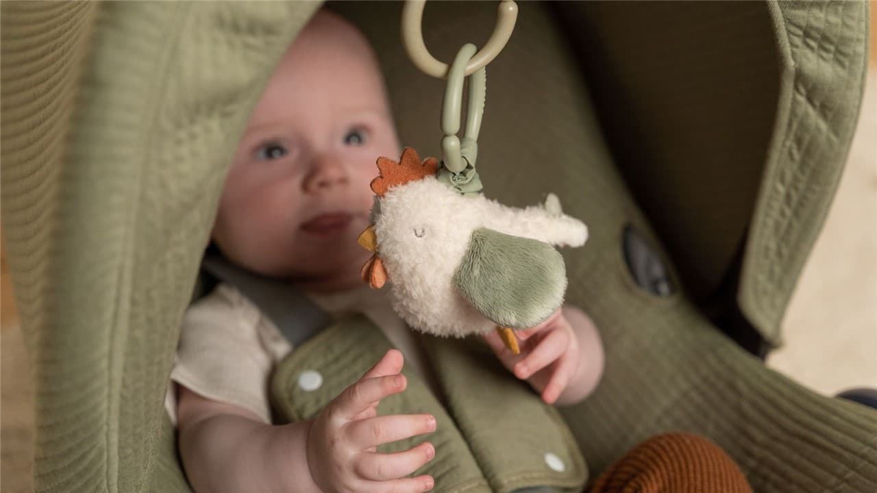 Gallina Pull and Shake Little Dutch - Imagen 6