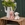 Oveja 17 cm Little Dutch - Imagen 2