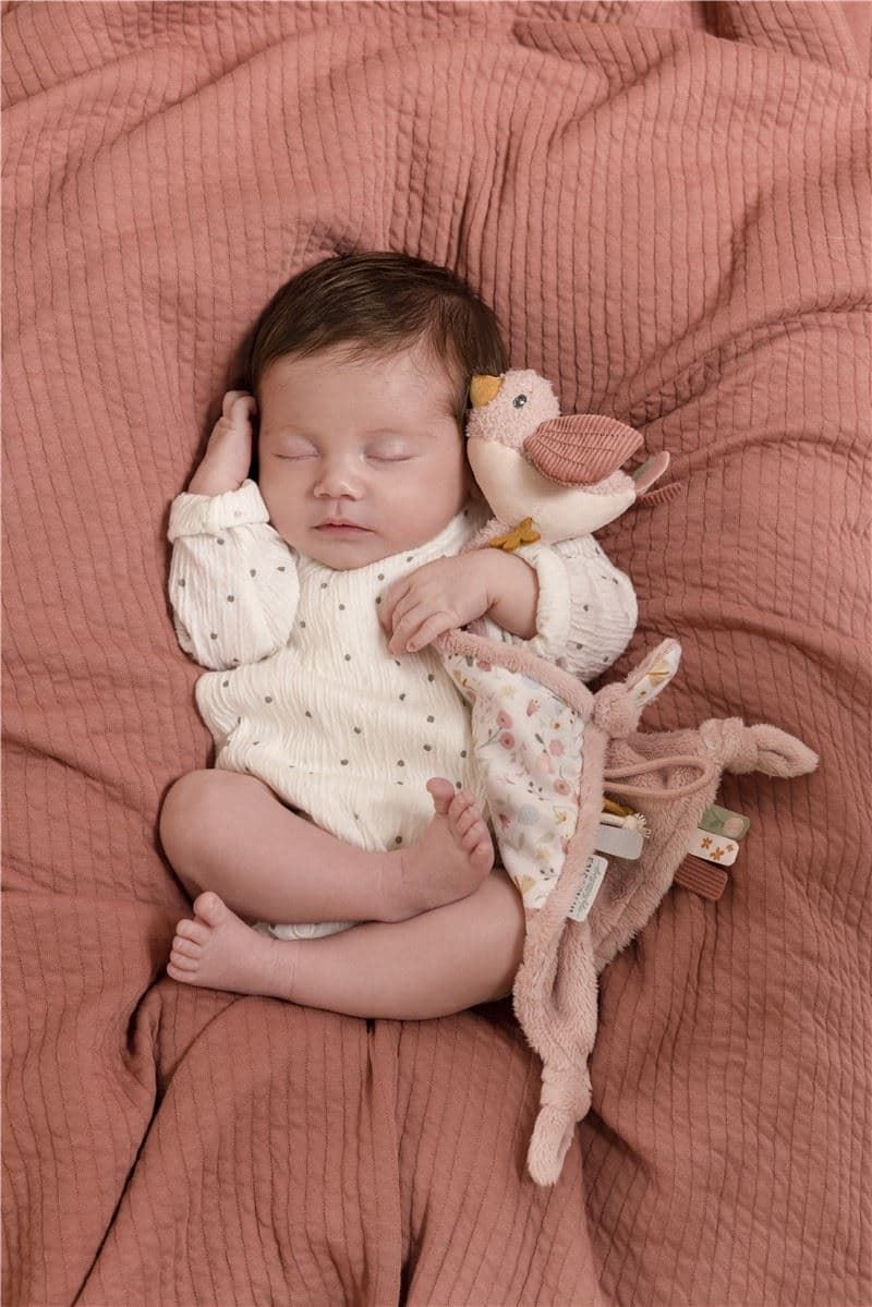 Pajarillo Pull and Shake Little Dutch - Imagen 4