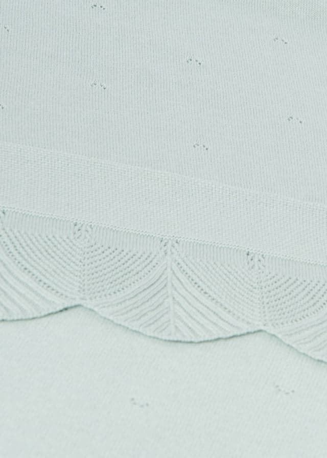 Toquilla volante - Imagen 4
